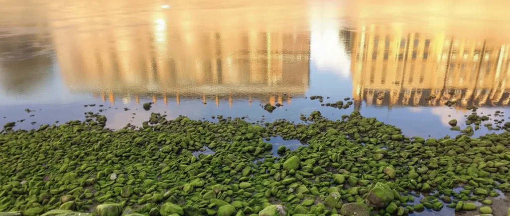 Reflections from the Urumea River in San Sebastian