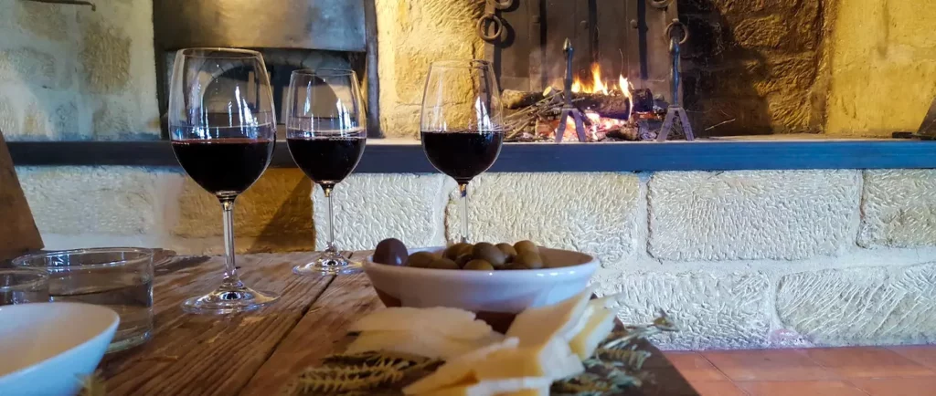 Wine tasting in Rioja Wine Region